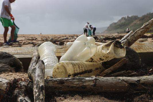 Plastic Water Bottles on the Beach